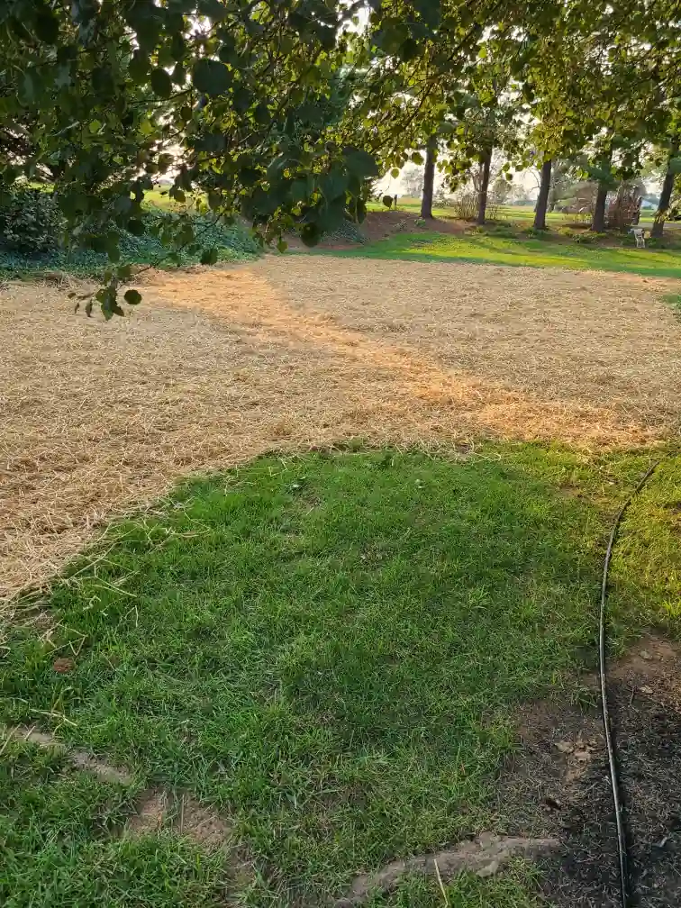 Stabilized ground cover on a graded site in Frederick, MD